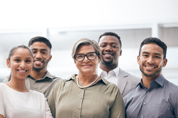 Poster - We make a great team. a group of businesspeople at work.