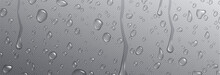 Realistic Condensation Water Drops. Vector Droplet On Window Transparent Background. 3d Clear Glass Drop Steam Texture Set. Liquid Wet Surface Png Illustration With White Reflection Design Macro View.