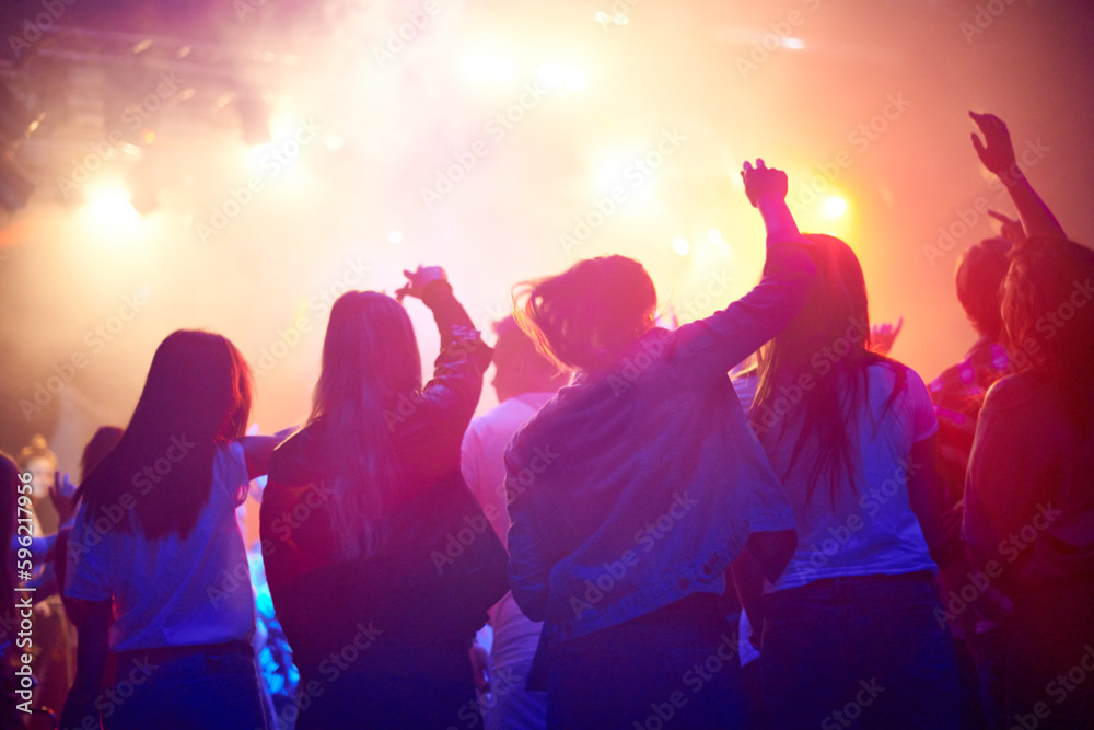 Excited Fans at Music Festival