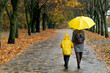Woman and child with large yellow umbrella and in yellow jacket are walking in the rainy autumn park. Back view.