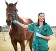 Hes as fit as a fiddle. Shot of an attractive young veterinarian standing alone and attending to a horse on a farm.