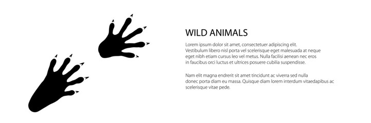 Wall Mural - Trace of forest animal banner, raccoon mammal footprint, vector illustration