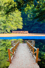 Fototapete - Autumn forest landscape reflection on the water with - Autumn landscape in (seven lakes) National park of  Yedigoller, Bolu 
