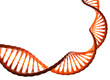 © Siarhei - DNA helix 3D illustration. Science, education, research. Human genome, genetic engineering