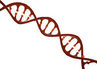 Poster - DNA helix 3D illustration. Science, education, research. Human genome, genetic engineering