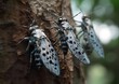 Close-up of Spotted Lanternflies on a Tree. AI Generative Illustrations