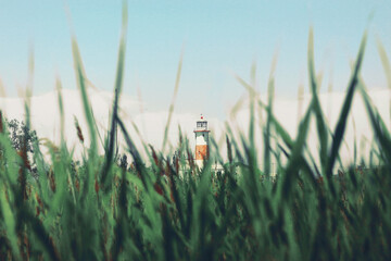 building a lighthouse behind the grass