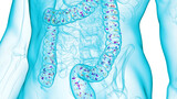 Fototapeta  - 3d illustration of the intestinal microbiome