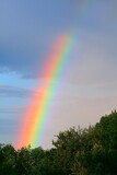 Fototapeta Tęcza - Rainbow after a rainstorm