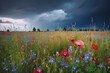 thundercloud over a field of wild flowers