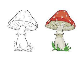 Wall Mural - Coloring page with cartoon outline mushroom. Children education paint colouring template for book. Vector activity drawing worksheet with cute fly agaric.