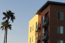 Exterior Corner Of The Top Floors Of A New Apartment Building With Walls Painted In Yellow And Brown Colors Showing Balconies, Windows, And With An Adjacent Palm Tree