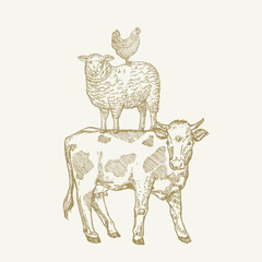 Wall Mural - Hand Drawn Engraving Style Cow, Sheep and Chicken Sillhouettes standing on each other like pyramid. Retro drawing vector illustration. Isolated