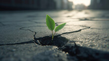 A Small Green Sapling Emerging From A Crack In A Asphalt Surface. Generative AI