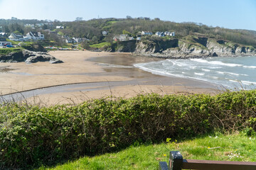 Wall Mural - walking on the beach