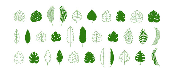 Leaf palm, jungle tropic plant vector icon, green flat and line design. Summer set isolated on white background. Exotic simple illustration