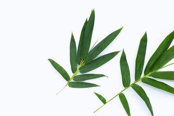  Bamboo leaves on white background.