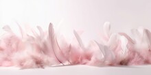 Pink Feather On White Background. Pink And White Feathers. 