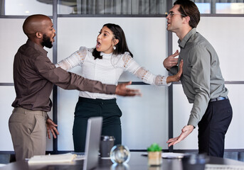 Poster - How dare you speak to me like that. Shot of a young businesswoman trying to stop her two colleagues from fighting in an office.