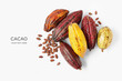 Creative layout made of cacao fruit and cacao beans on white background. Flat lay. Food concept. Macro concept.