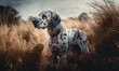 photo of English setter standing in tall grass. Generative AI