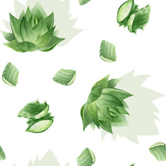  Aloe vera plant, slices and aloe leaves. Watercolor seamless pattern on a white background. For packaging cosmetics, scrapbooking, wrapping paper