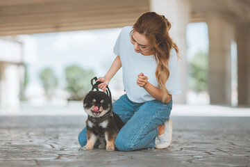 Wall Mural - Happy asian woman playing with dog on the park