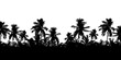 Realistic illustration with black silhouette of palm tree tops on transparent background