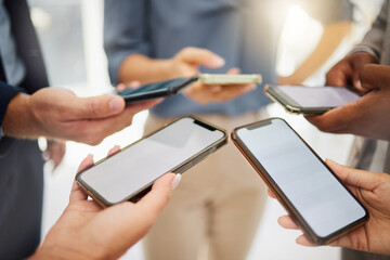 Sticker - Group, business people and blank phone screen for mockup space, mobile app and multimedia networking. Closeup hands of employees with smartphone technology, digital download and team sharing UI data