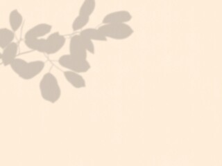 Poster - Shadow wallpaper, tree branch background,