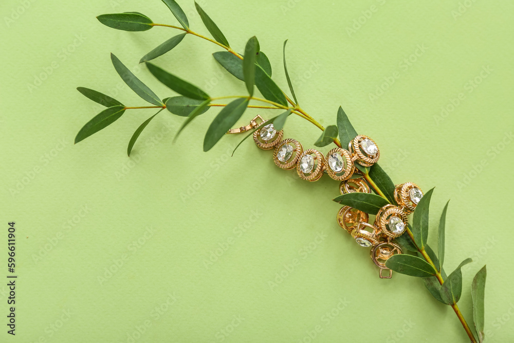 Plant branch with golden bracelet on green background