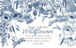Vector frame of wild flowers and plants. Chamomile, clover, fern, chicory, poppy, valerian, cornflowers, bluebells, butterfly, dragonfly in engraving style