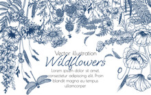 Vector Frame Of Wild Flowers And Plants. Chamomile, Clover, Fern, Chicory, Poppy, Valerian, Cornflowers, Bluebells, Butterfly, Dragonfly In Engraving Style