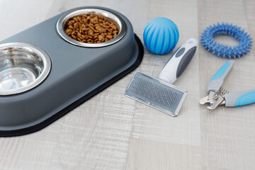 Nail clipper, hair comb, food, water and blue toys on floor with copy space