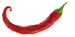 Red hot chili cayenne pepper, watercolor