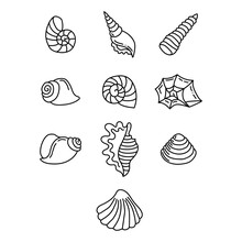 Illustration With Seashell Nautilus. Object For Logo, Card, Flyer. Minimalist Sign For Logo, Emblem, Banner. Hand Drawn Illustration With Ammonite Fossil In Modern Style