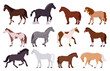 Cartoon horses. Standing domestic animals, horse and pony of different breeds, graceful farm or ranch animals flat vector illustration set. Thoroughbred horses collection