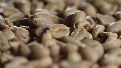 Wall Mural - Unroasted coffee beans close up, rotation. Green raw coffee beans