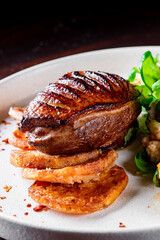 Sticker - Roasted Duck breast fillets with vegetable salad and batat in plate