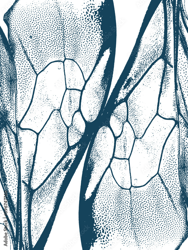 Abstract Organic Background. Nature Pattern. Natural Texture. Butterfly ...