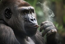 Gorilla Smoking Joint, Blowing Smoke Rings, Created With Generative Ai