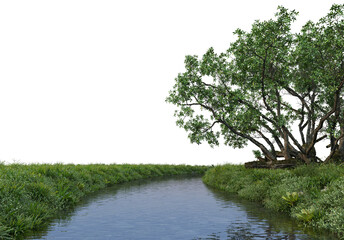 Wall Mural - Stream and many plants on transparent background