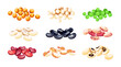 Set of colored beans in cartoon style. Vector illustration of various food beans: lentils, chickpeas, green peas, red and black , black-eyed, pinto beans isolated on white background.