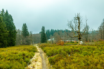 Frühlingswanderung im Bayerischen Wald zum Zwieselter Fist an der Grenze zu Tschechien - Bayern - Deutschland