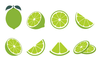 Wall Mural - fresh lime fruit. collection of lime vector icons isolated on white background. vector illustration 