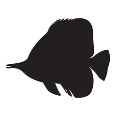 Butterfly Fish silhouettes and icons. Black flat color simple elegant Butterfly Fish animal vector and illustration.