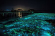 Illumination of plankton at Maldives, bio luminescence, AI