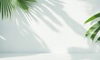 Blank minimal white counter podium, soft beautiful dappled sunlight, tropical palm foliage leaf shadow on wall (Generative AI)