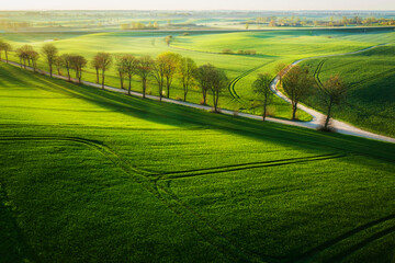 aerial landscape of the green fields in northern poland at spring time.