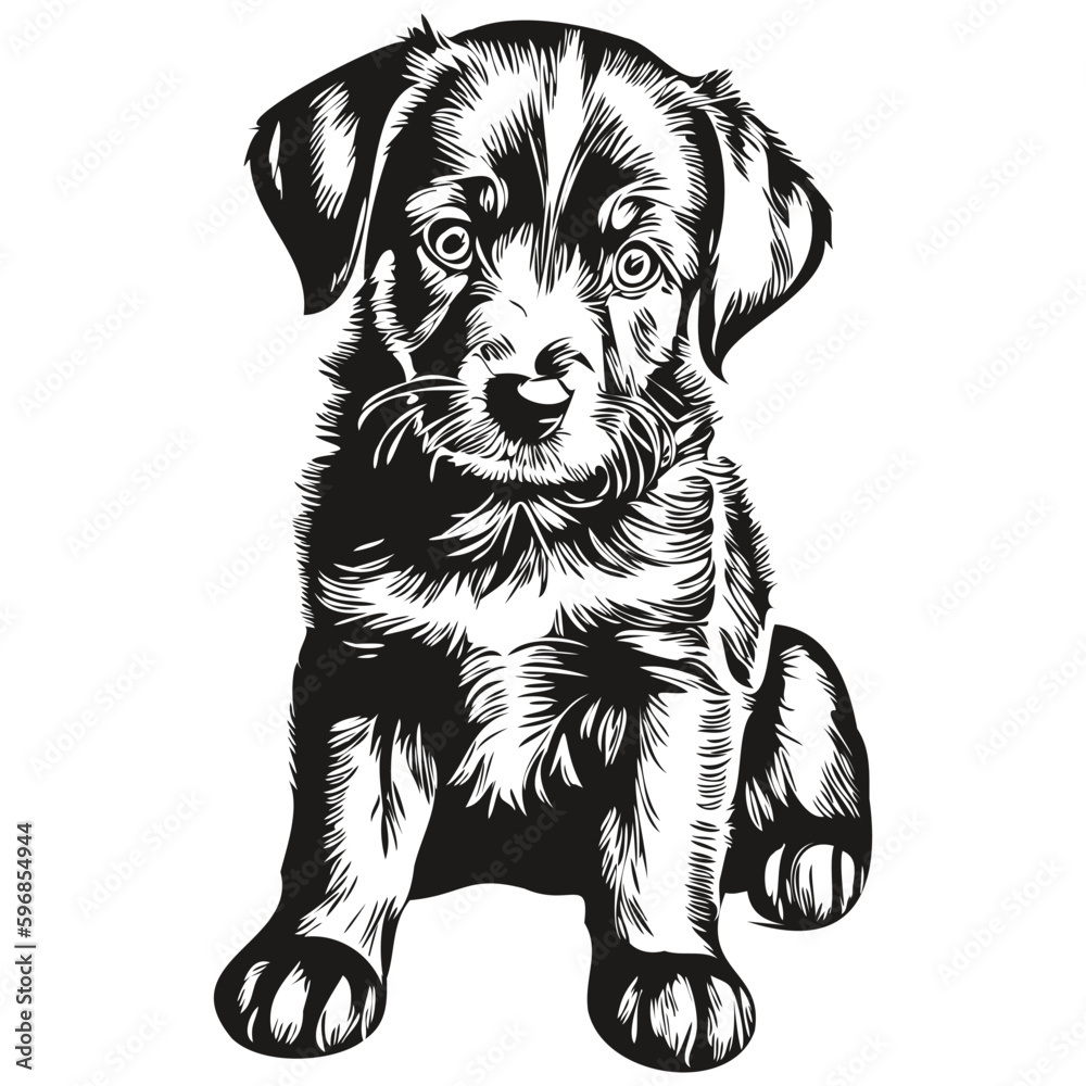 Cute hand drawn puppy, vector illustration black and white puppies ...